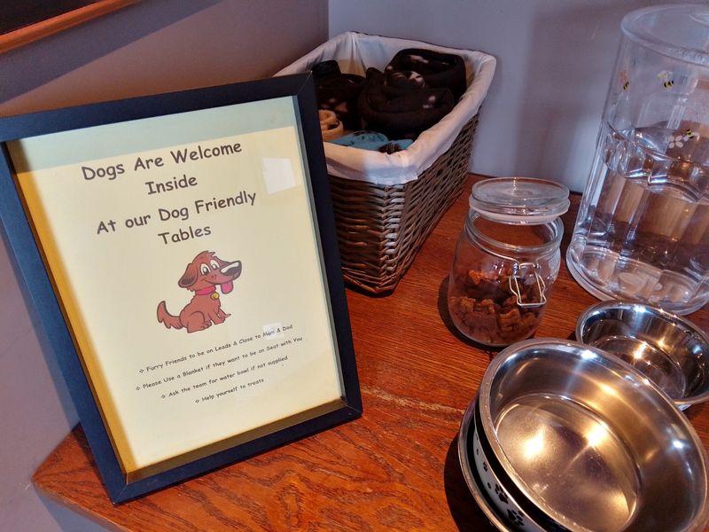 Dog treats. (Pub, External, Sign). Published on 14-03-2022