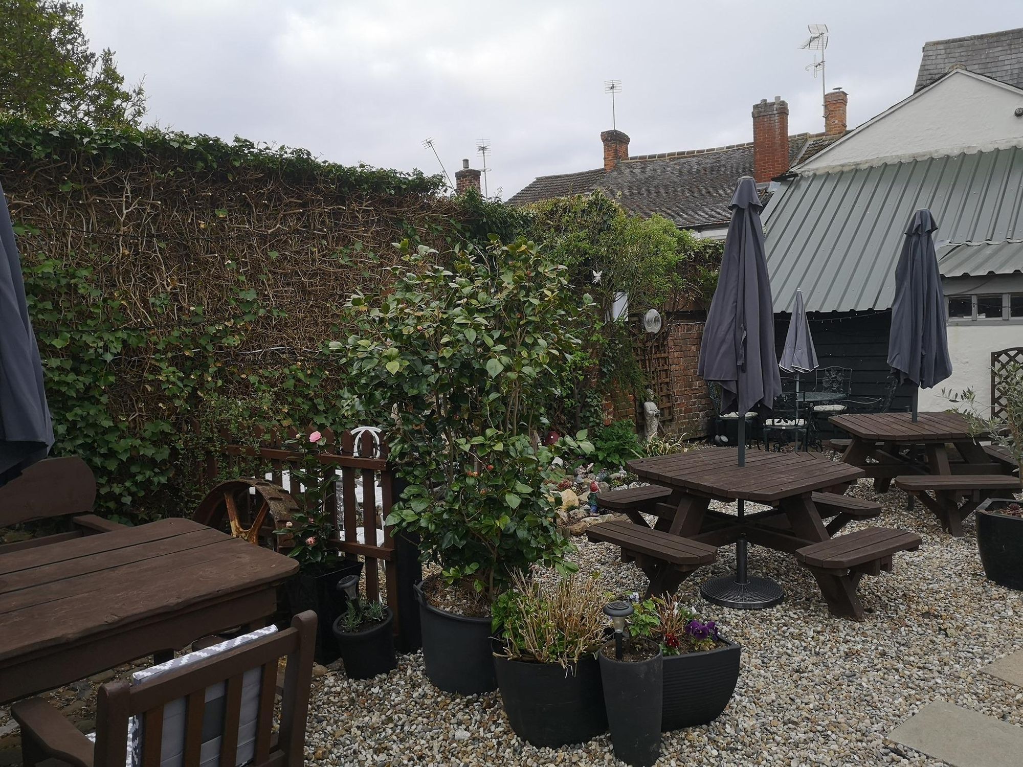 (Pub, Garden). Published on 05-03-2022