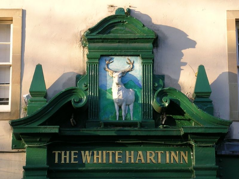 The white hart above the door. (Pub, Sign). Published on 07-11-2013