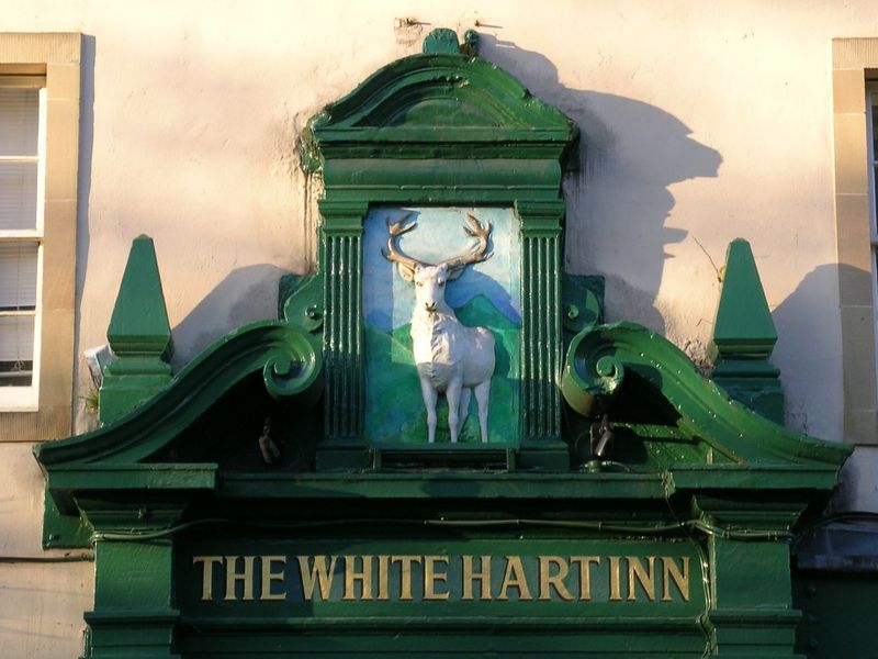 The white hart above the door. (Pub, Sign). Published on 07-11-2013 