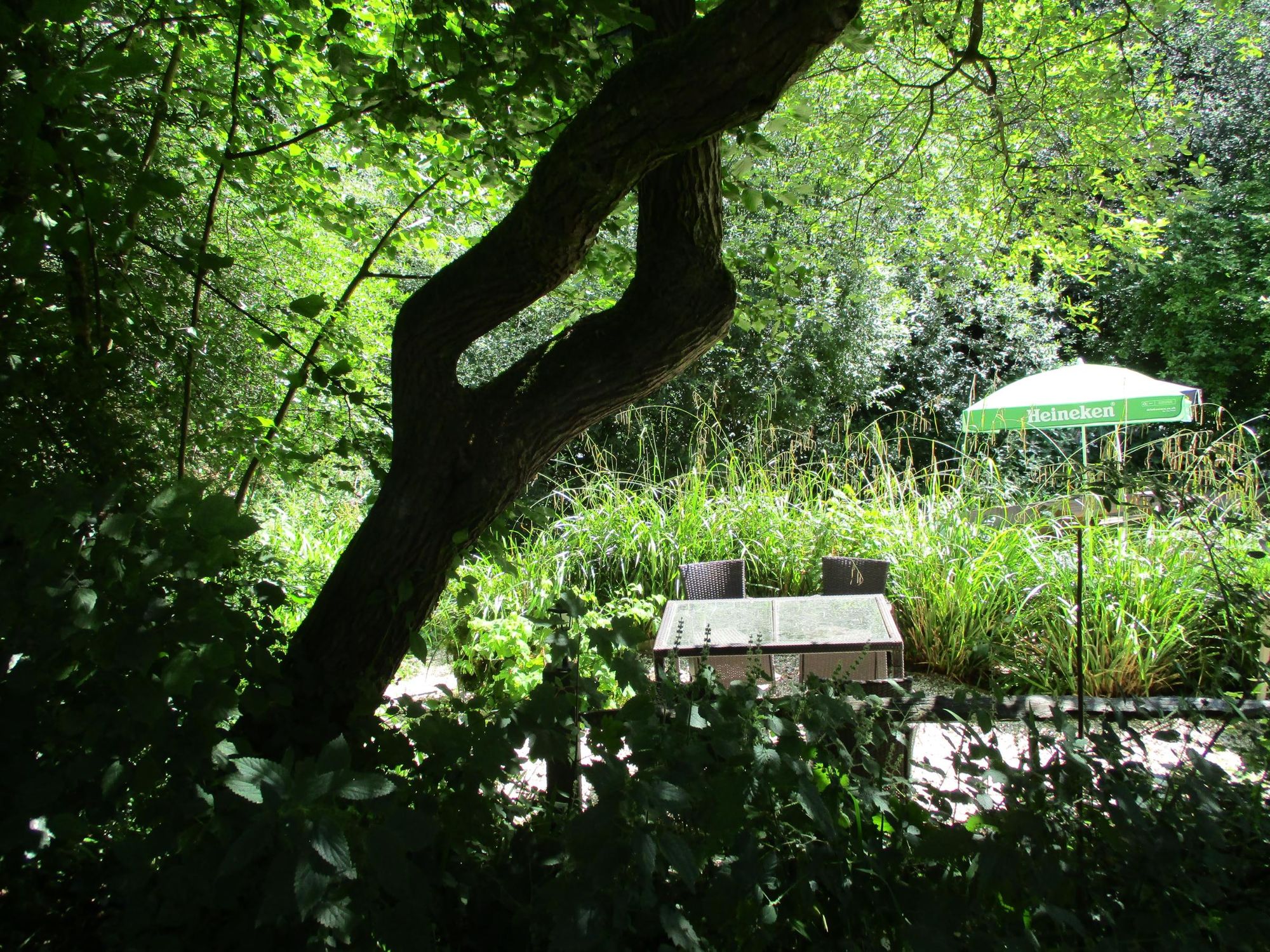 (Garden). Published on 19-07-2025
