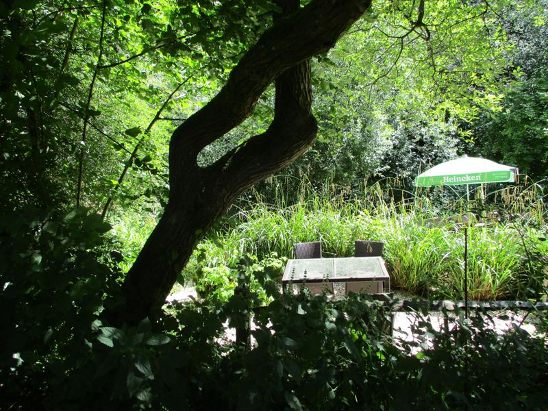 (Garden). Published on 19-07-2025 