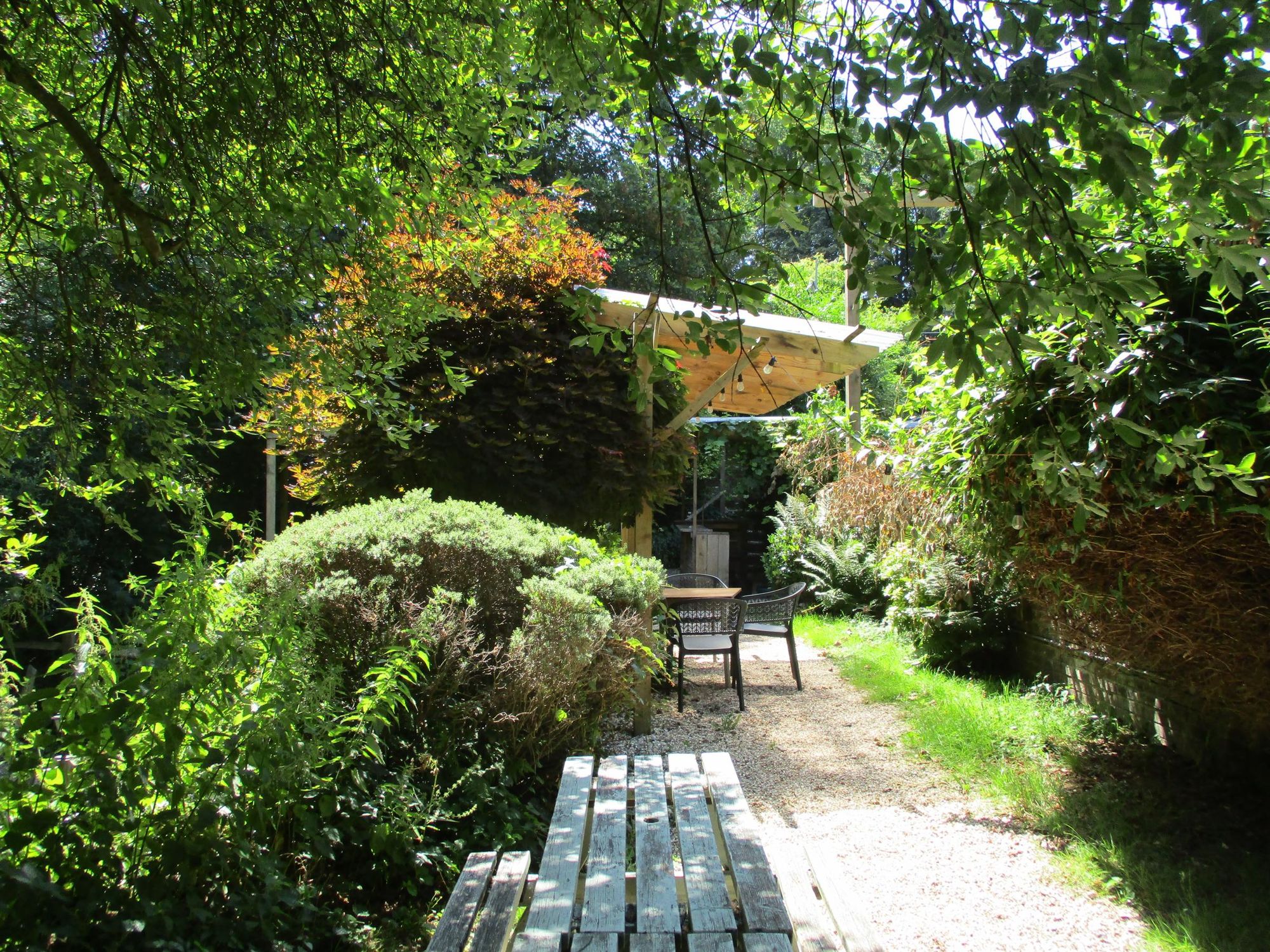 (Garden). Published on 19-07-2025