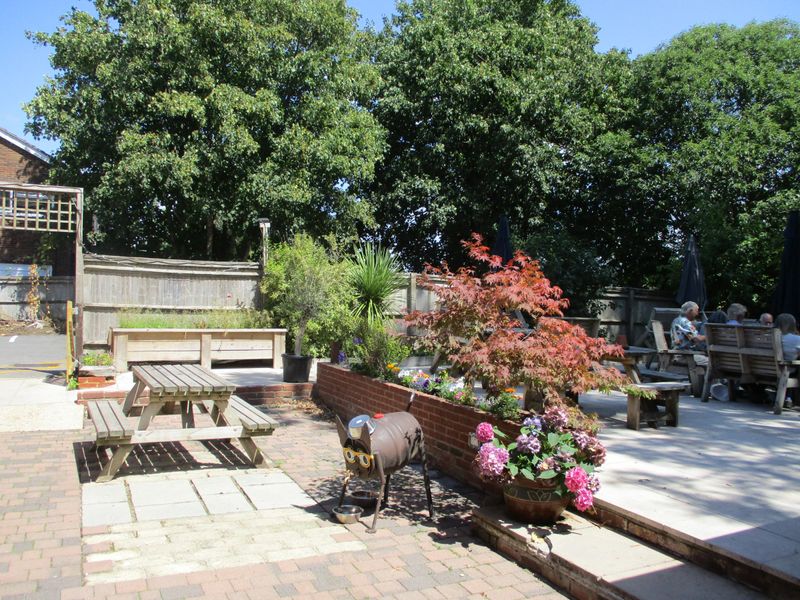 (Garden). Published on 19-07-2025