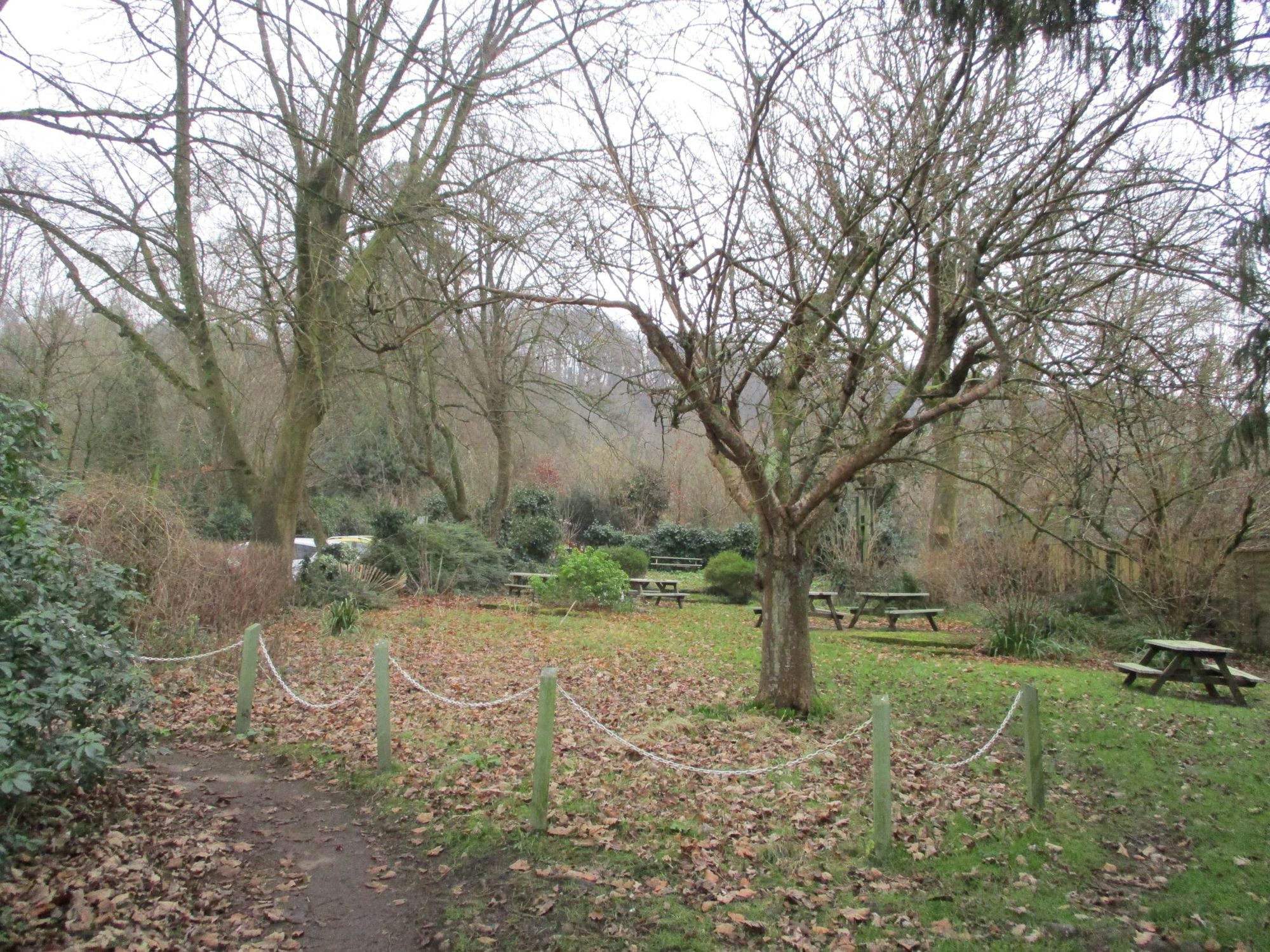 January 2025. (Garden). Published on 22-01-2025