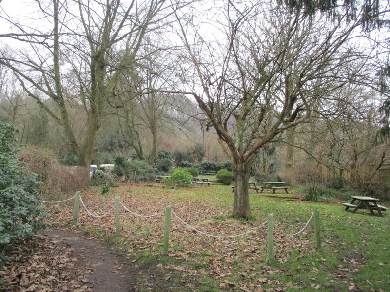 January 2025. (Garden). Published on 22-01-2025