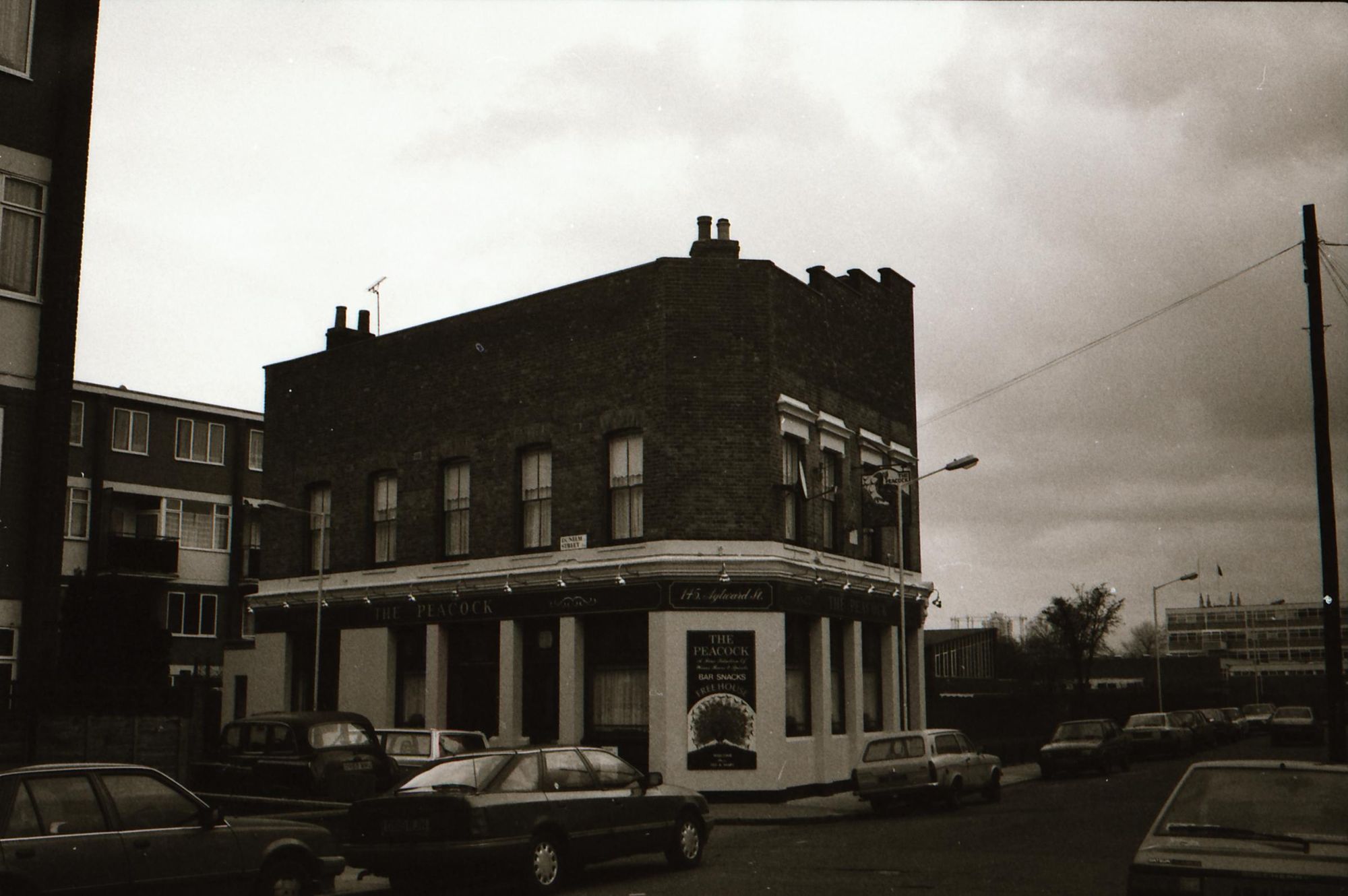 E1-Peacock taken Dec92-Jan94.jpg. (Pub, External). Published on 02-01-2018