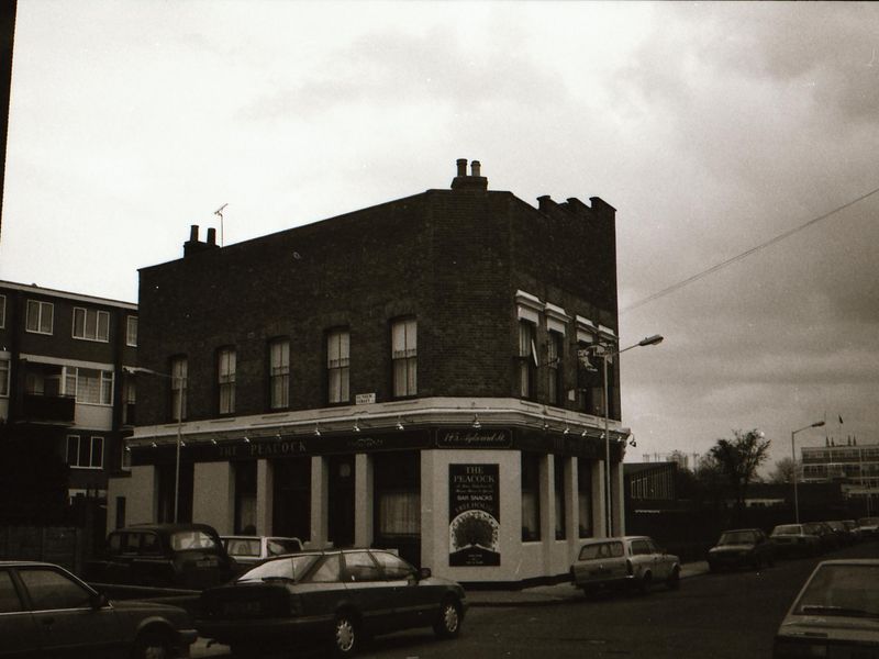 E1-Peacock taken Dec92-Jan94.jpg. (Pub, External). Published on 02-01-2018