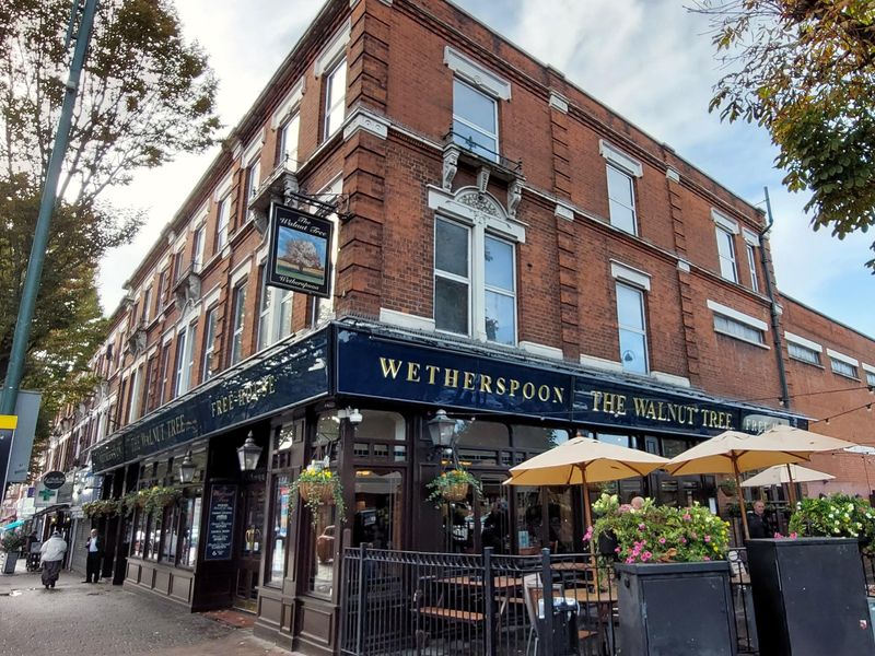 E11-WalnutTree20231028.jpg. (Pub, External). Published on 17-12-2023