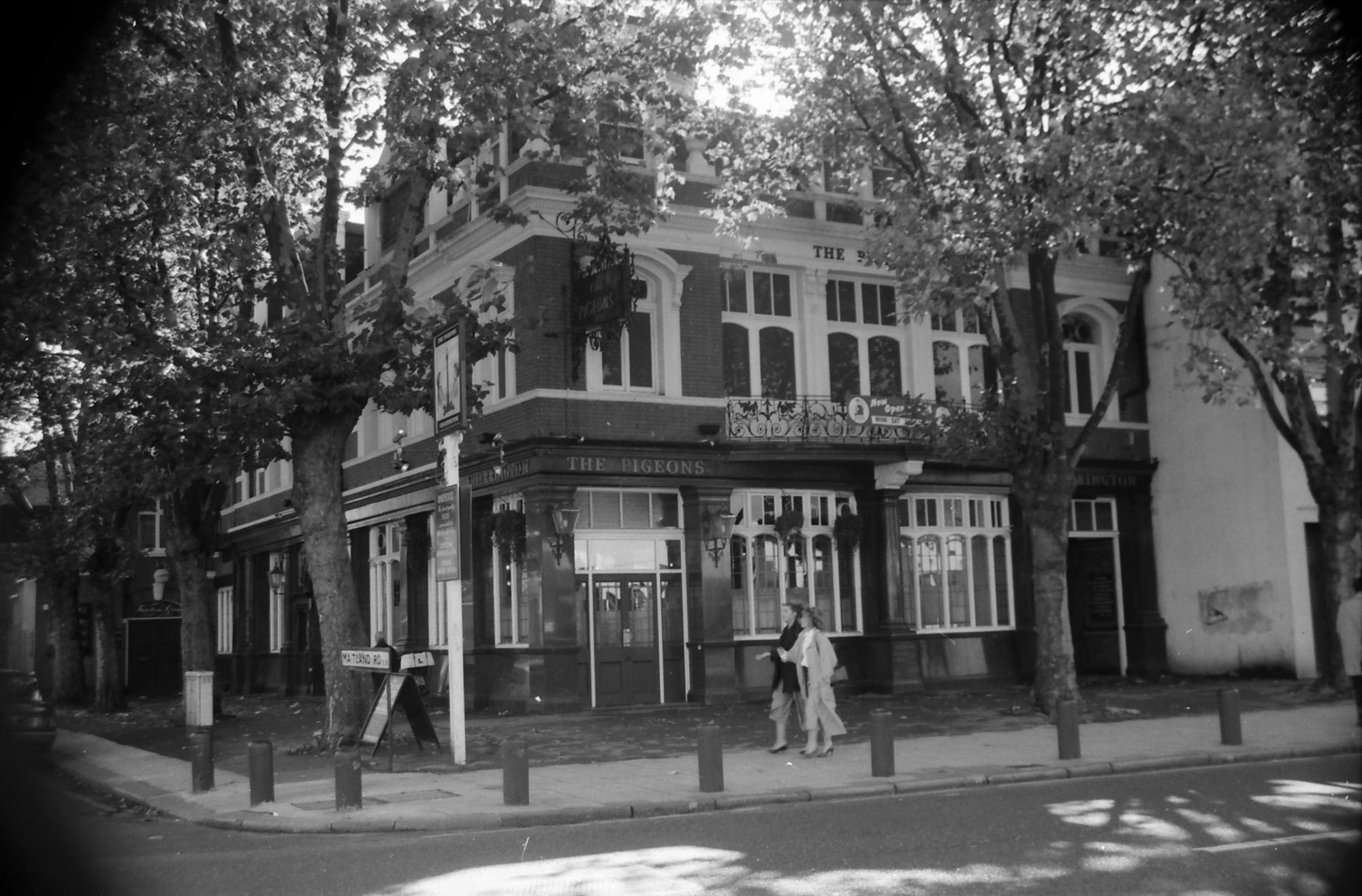 Pigeons London E15 taken in Oct 1988.. (Pub, External, Key). Published on 25-11-2018