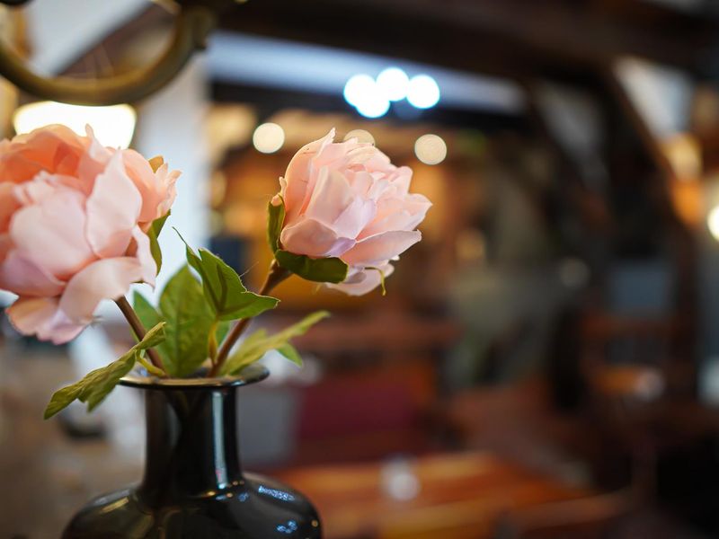 Kai W. (Pub). Published on 19-02-2026 