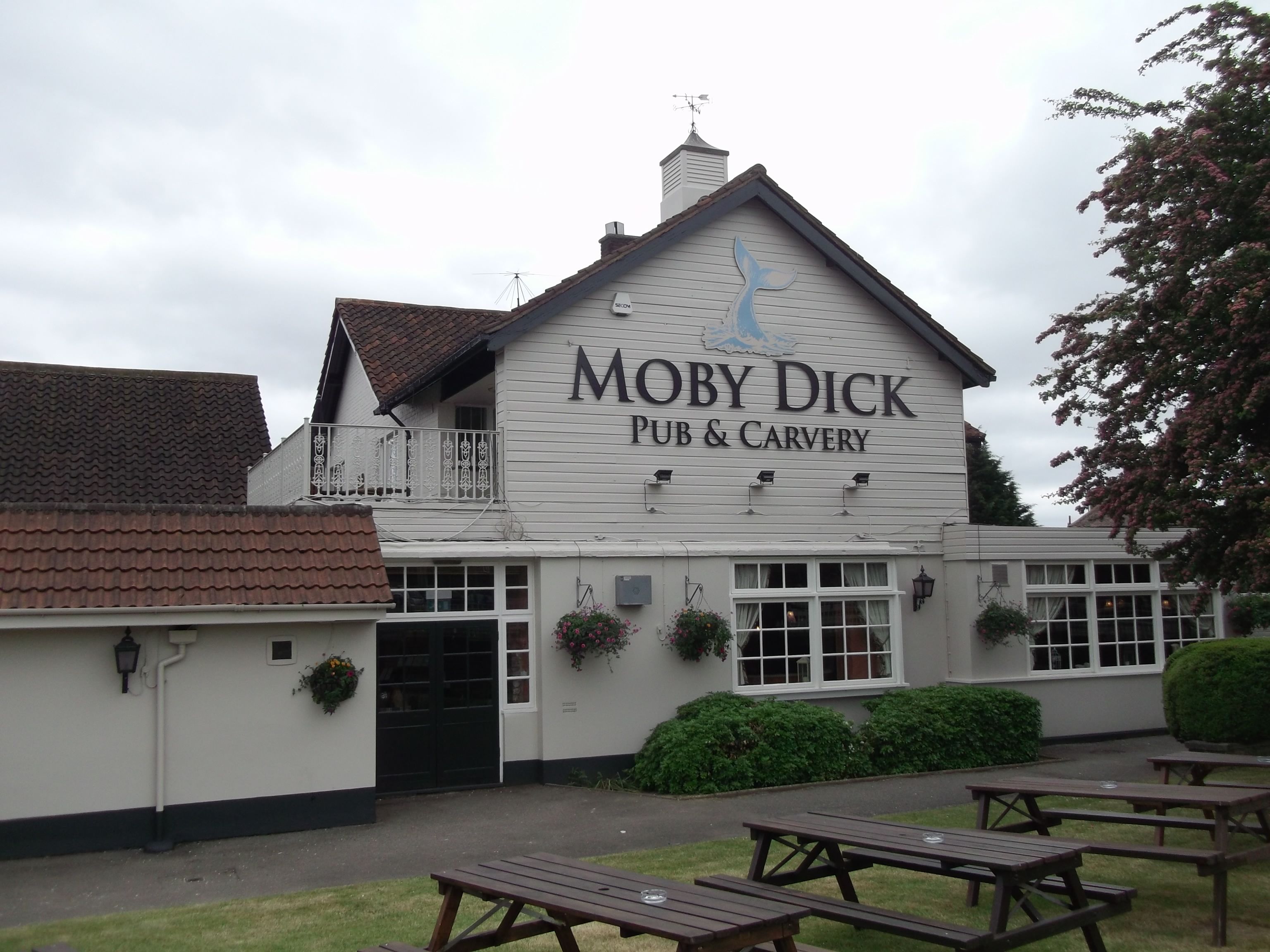 Toby Carvery Moby Dick, Chadwell Heath - CAMRA Experience