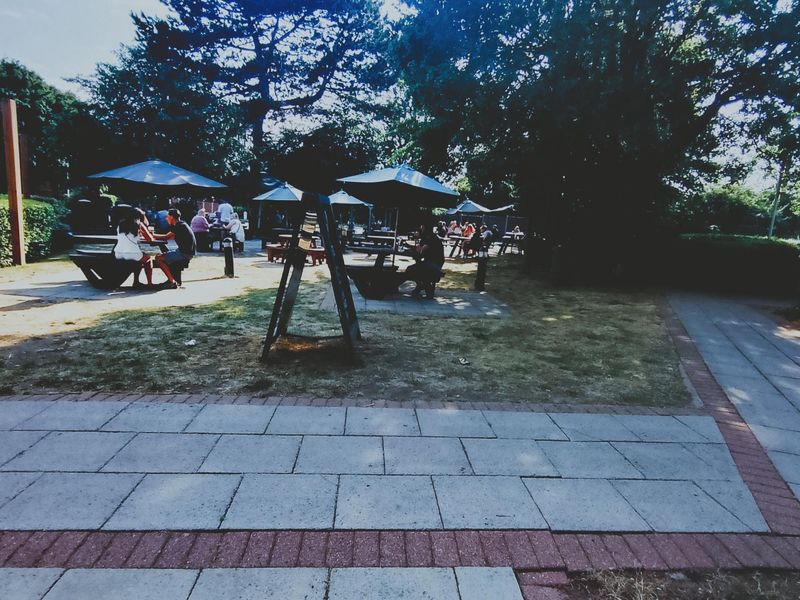 Taken May 2026. (Garden). Published on 31-05-2026 