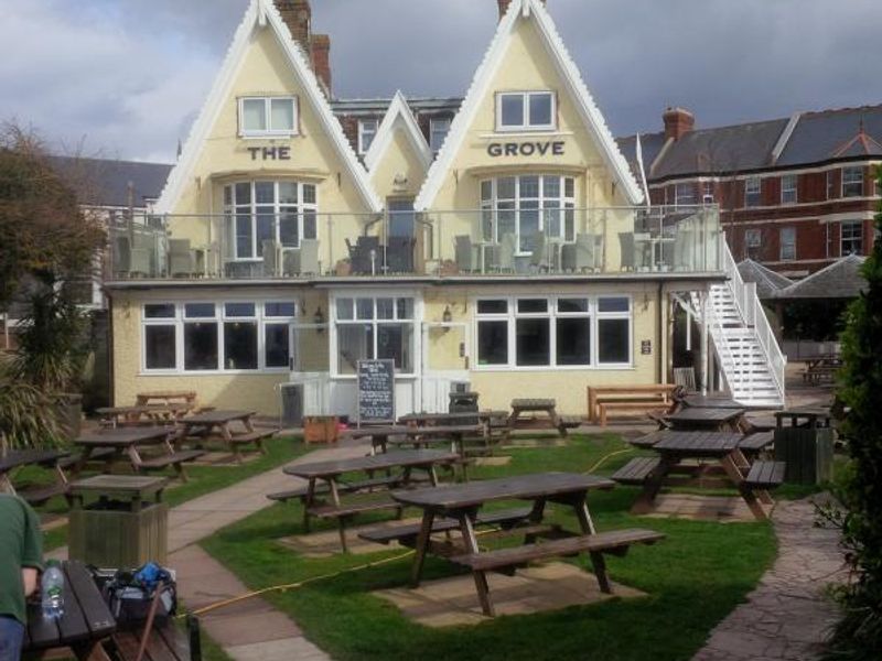 Grove, Exmouth - CAMRA Experience