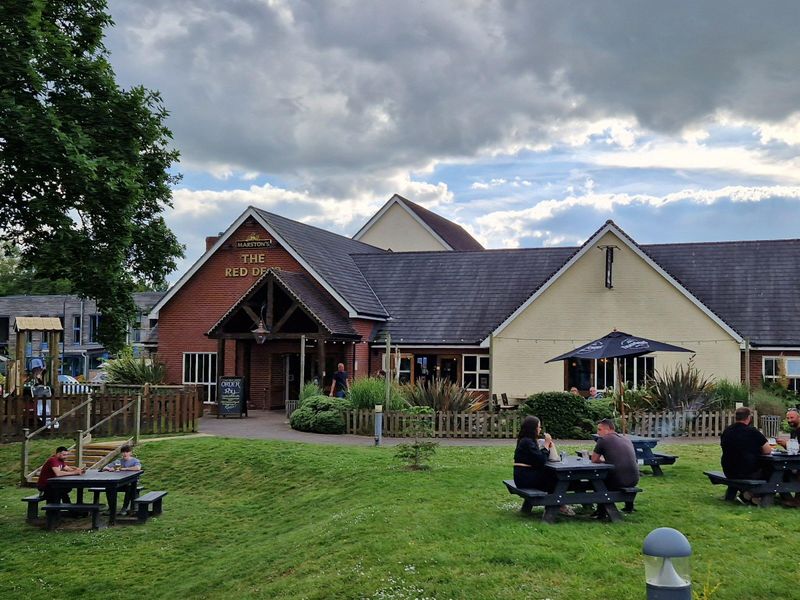 Red Deer, Crediton (Photo: Pete Horn 19/06/2024). (Pub, External, Key). Published on 20-06-2024