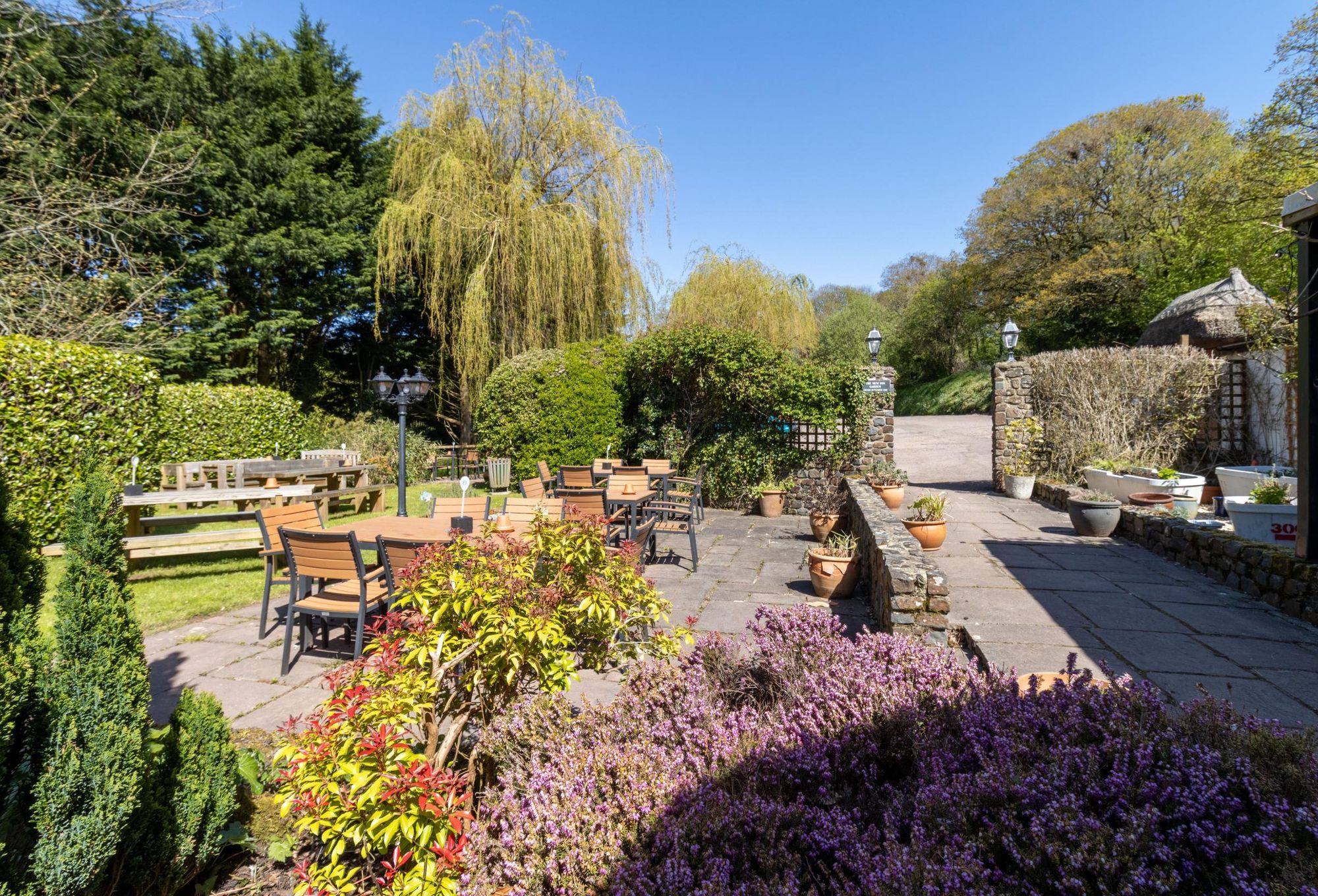 (Garden). Published on 29-12-2024