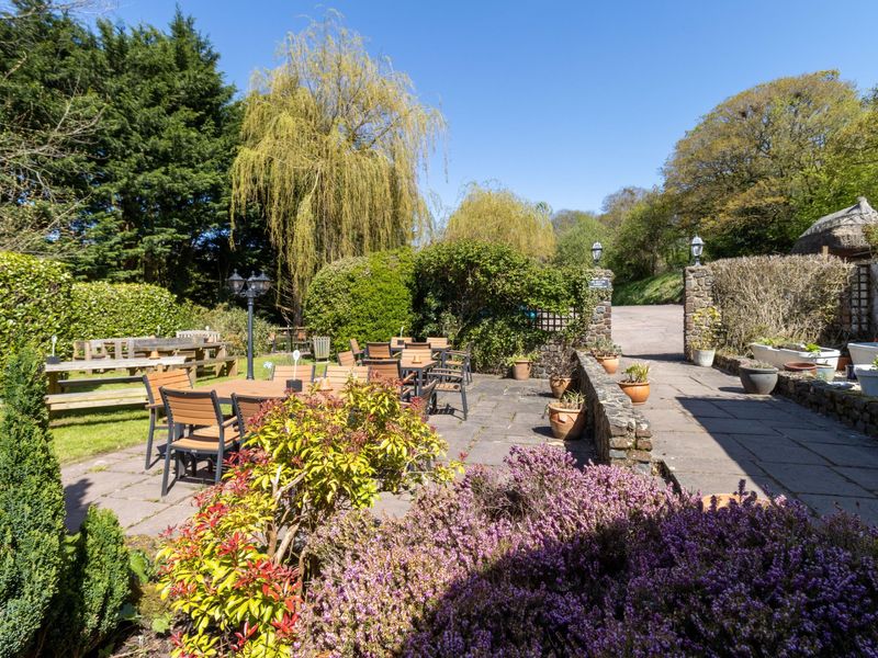 (Garden). Published on 29-12-2024 
