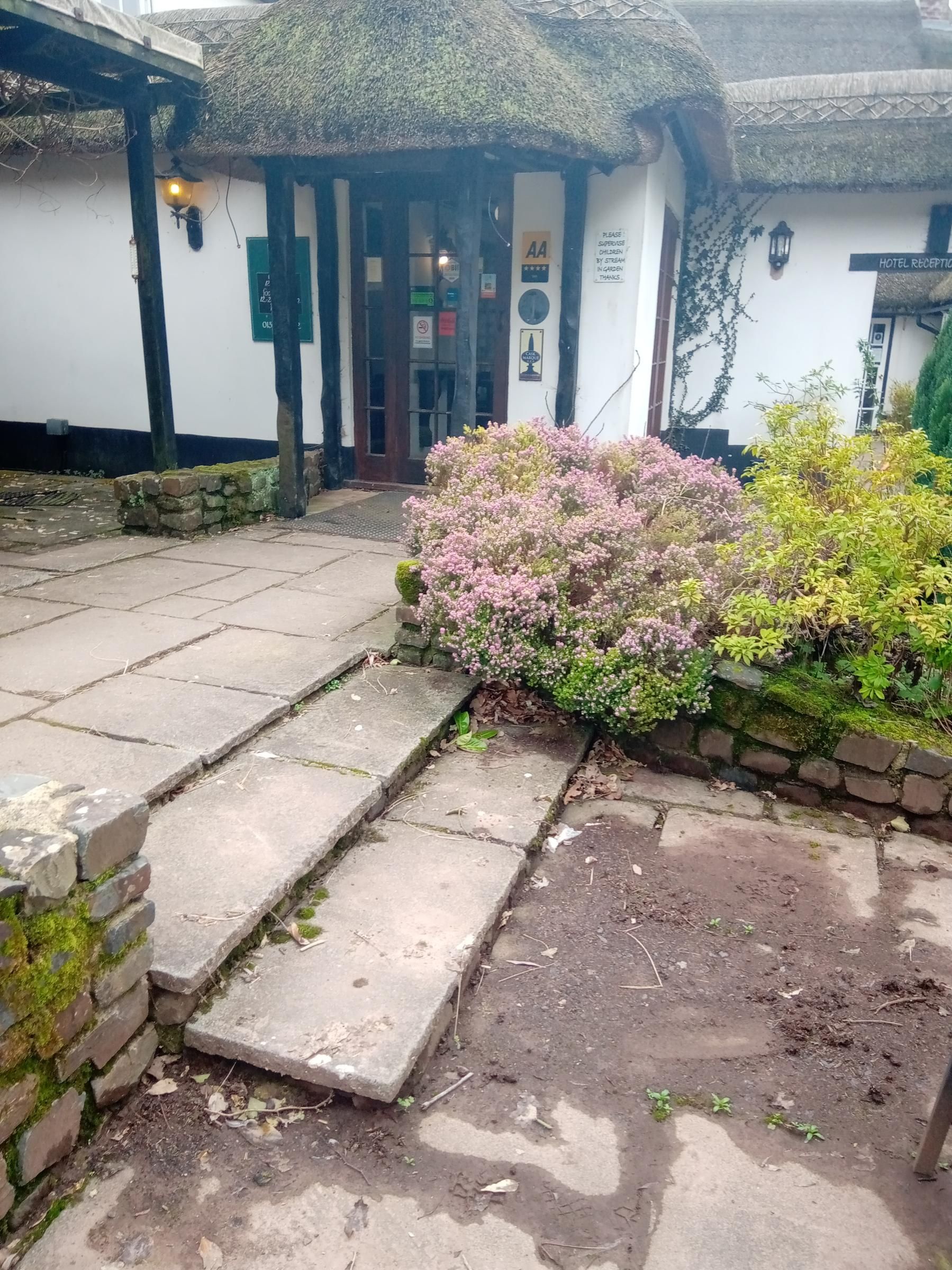 Garden steps. (Garden). Published on 12-03-2026