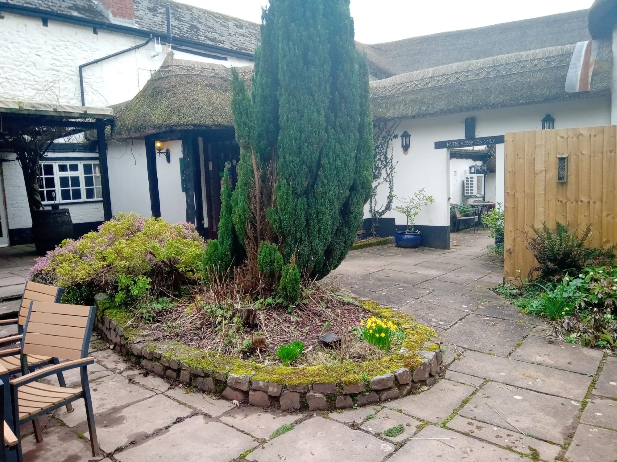 Garden paved area. (Garden). Published on 12-03-2026