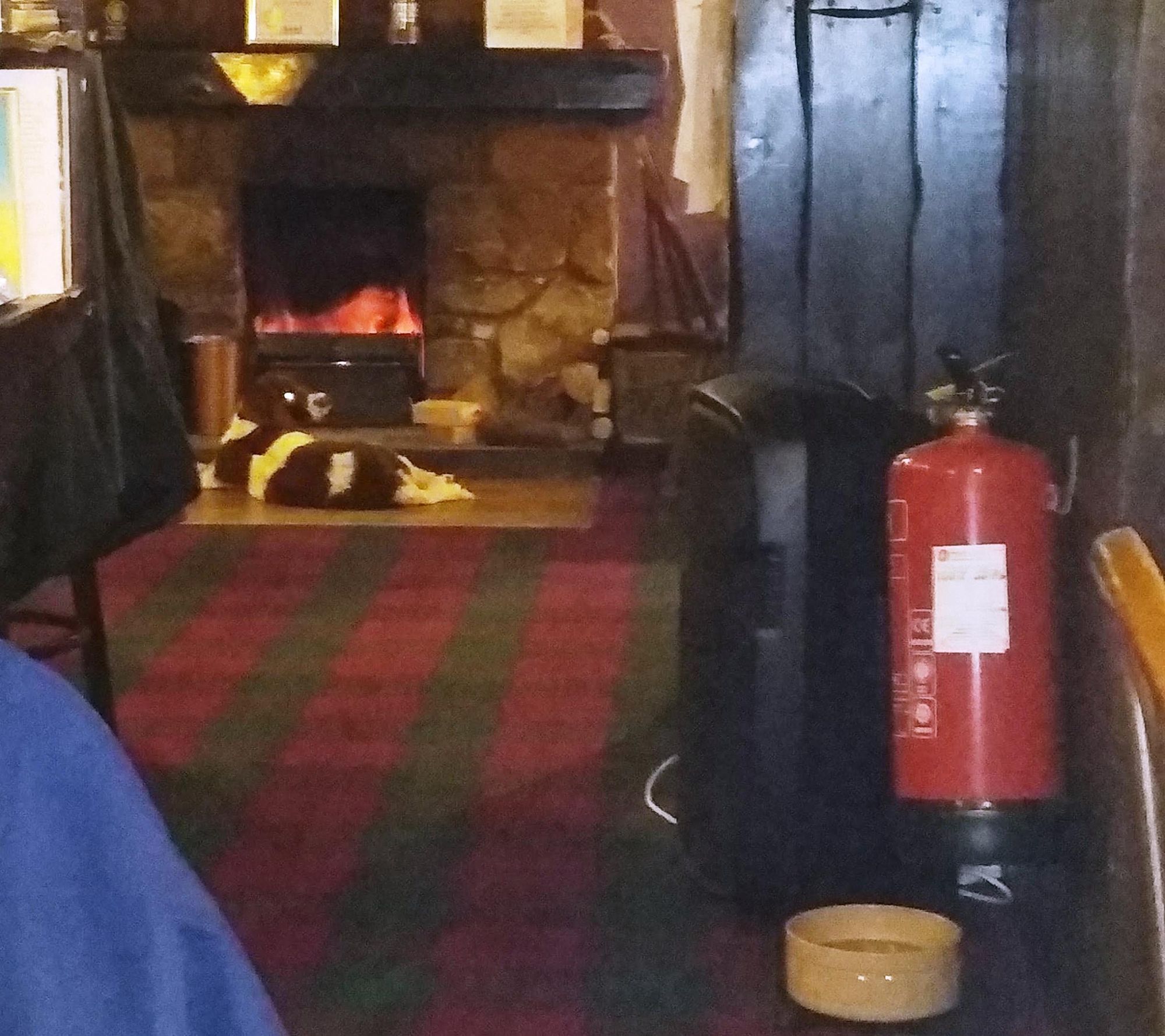 Doggie by the fire. (Customers). Published on 21-10-2021