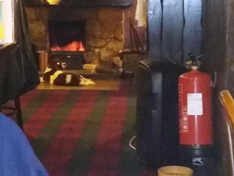 Doggie by the fire. (Customers). Published on 21-10-2021