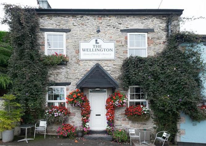 The Welly and Healey's Brewery. (Pub, External, Key). Published on 02-07-2017