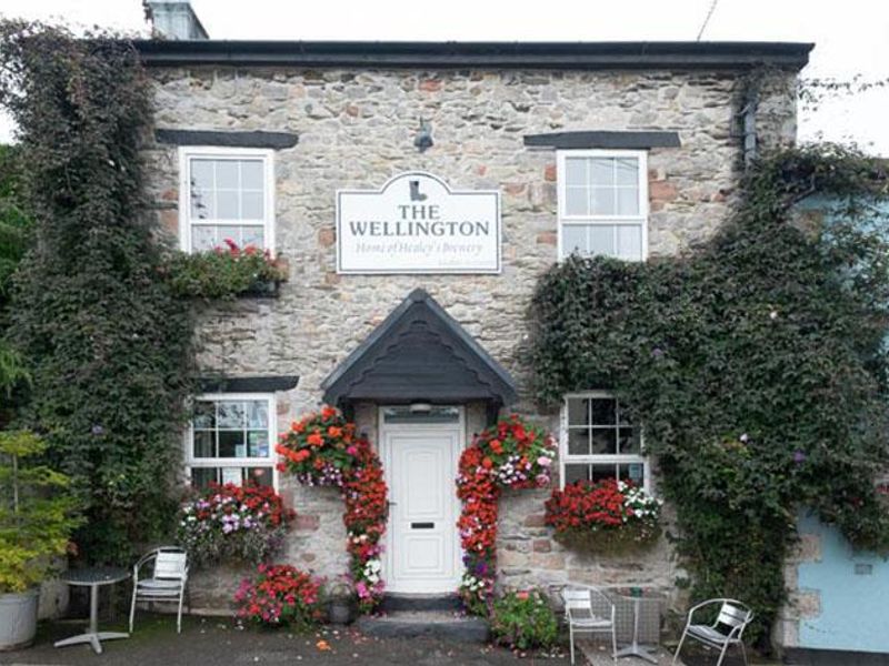 The Welly and Healey's Brewery. (Pub, External, Key). Published on 02-07-2017