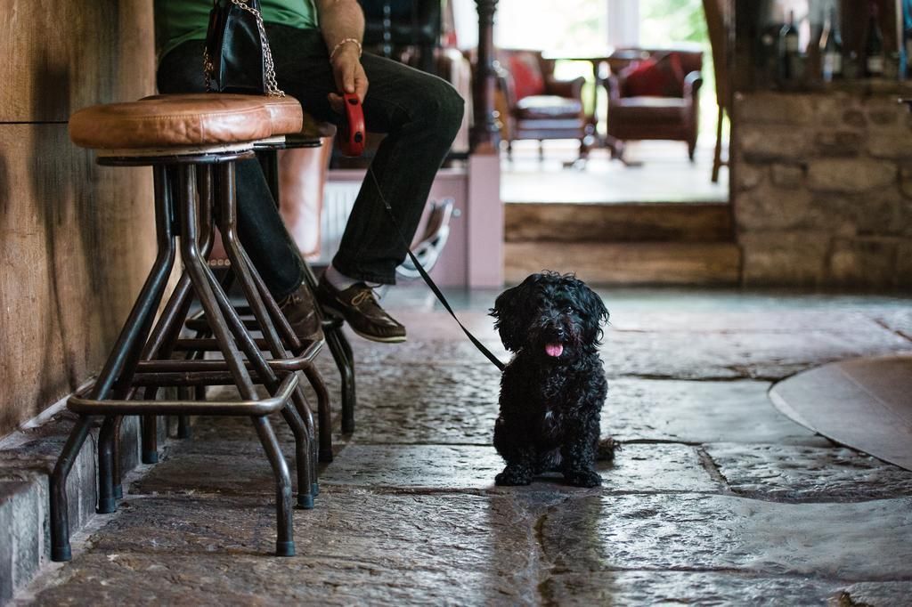 Romneys Kendal dog. (Bar, Customers). Published on 01-01-1970