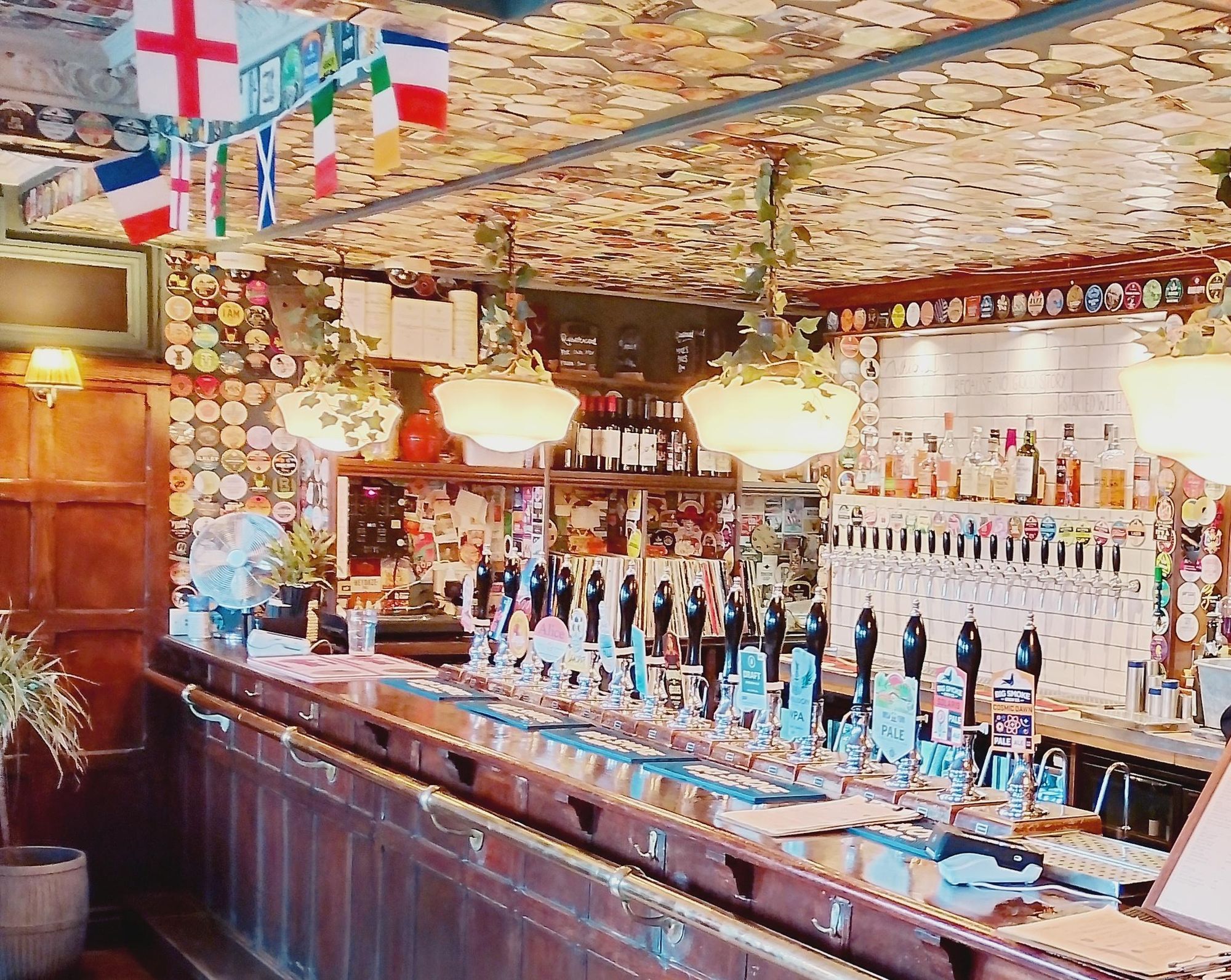 (Bar). Published on 24-02-2026