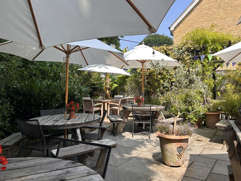 Wych Elm - Kingston - Garden. (Pub, External, Garden). Published on 30-09-2024 