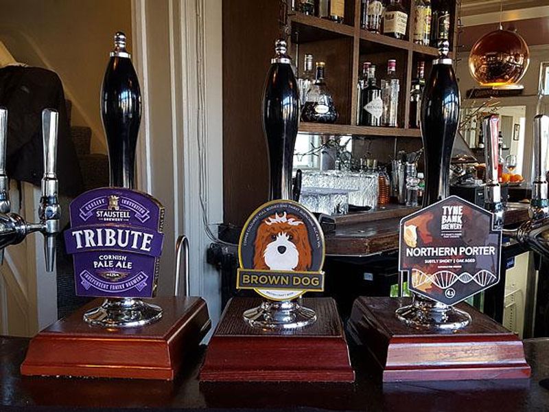 Brown Dog, Barnes (Feb 2019). (Pub, Bar). Published on 28-02-2019 
