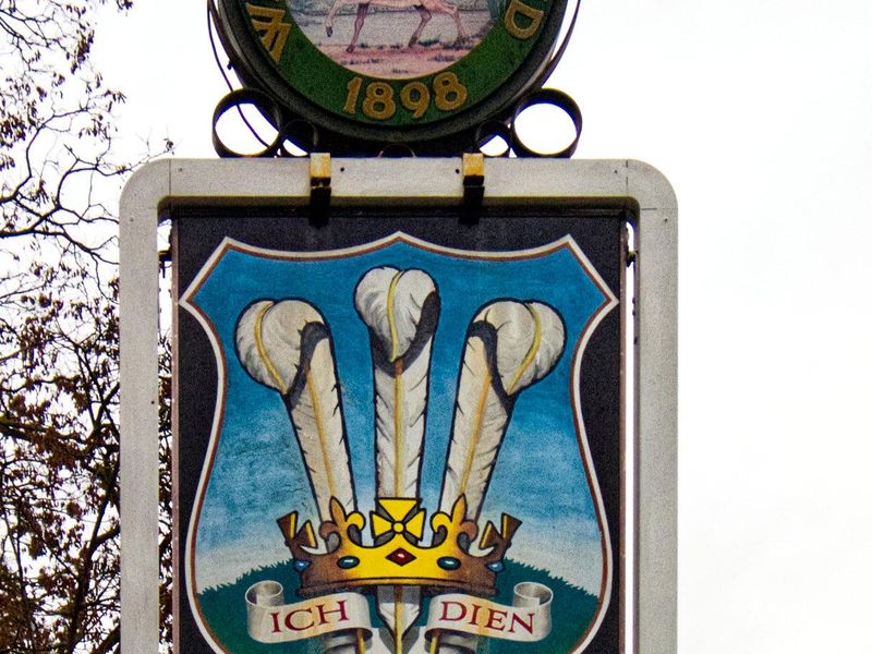 Prince of Wales, Twickenham (April 2006). (External, Sign). Published on 05-05-2026 