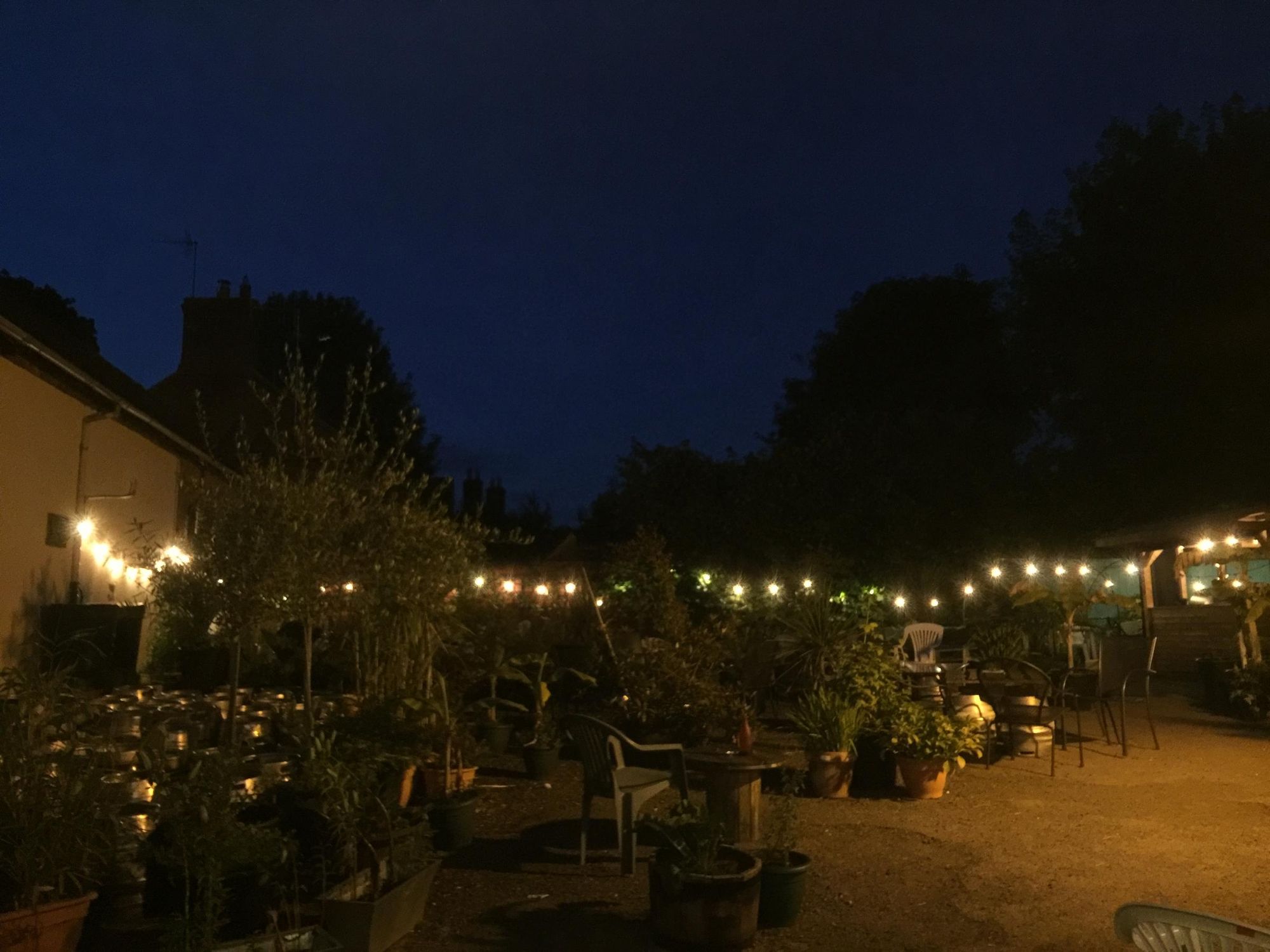 (External, Garden). Published on 14-07-2017