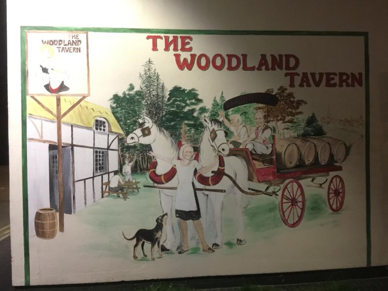 Mural on wall of Woodland Tavern. Published on 18-11-2016