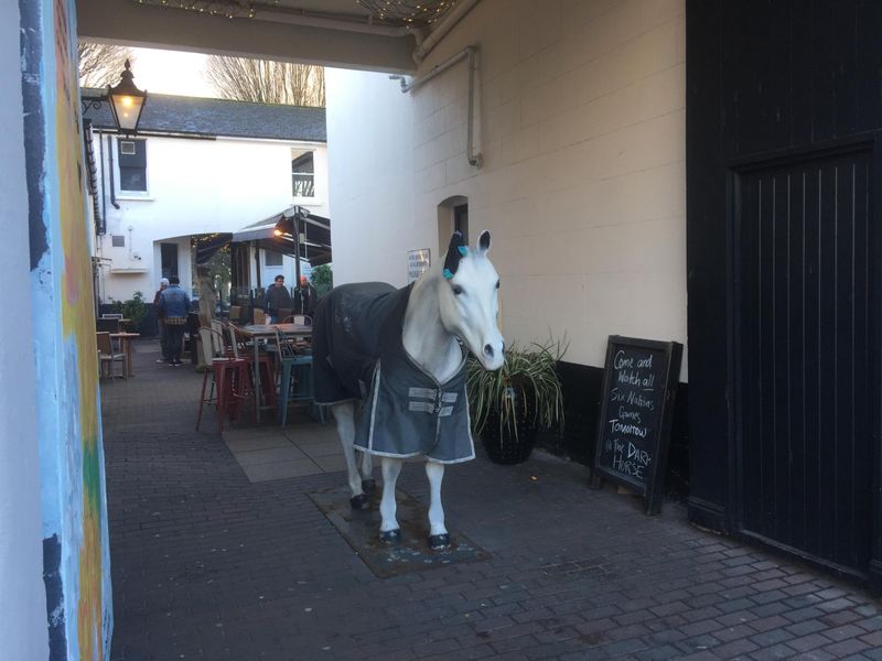 White Horse. (Garden). Published on 25-02-2018 