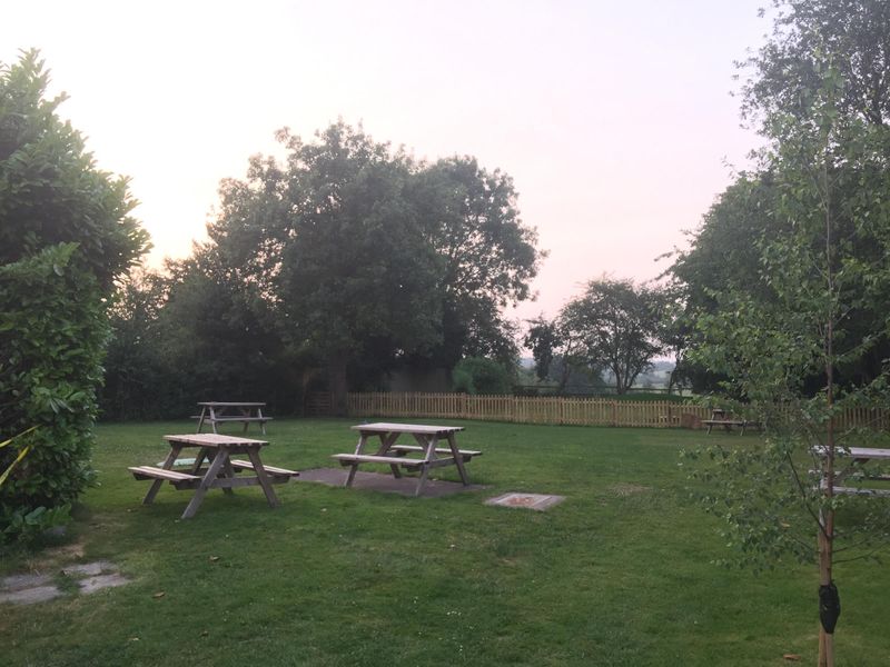 (Garden). Published on 13-07-2017 
