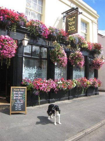 (Pub, External). Published on 01-07-2012
