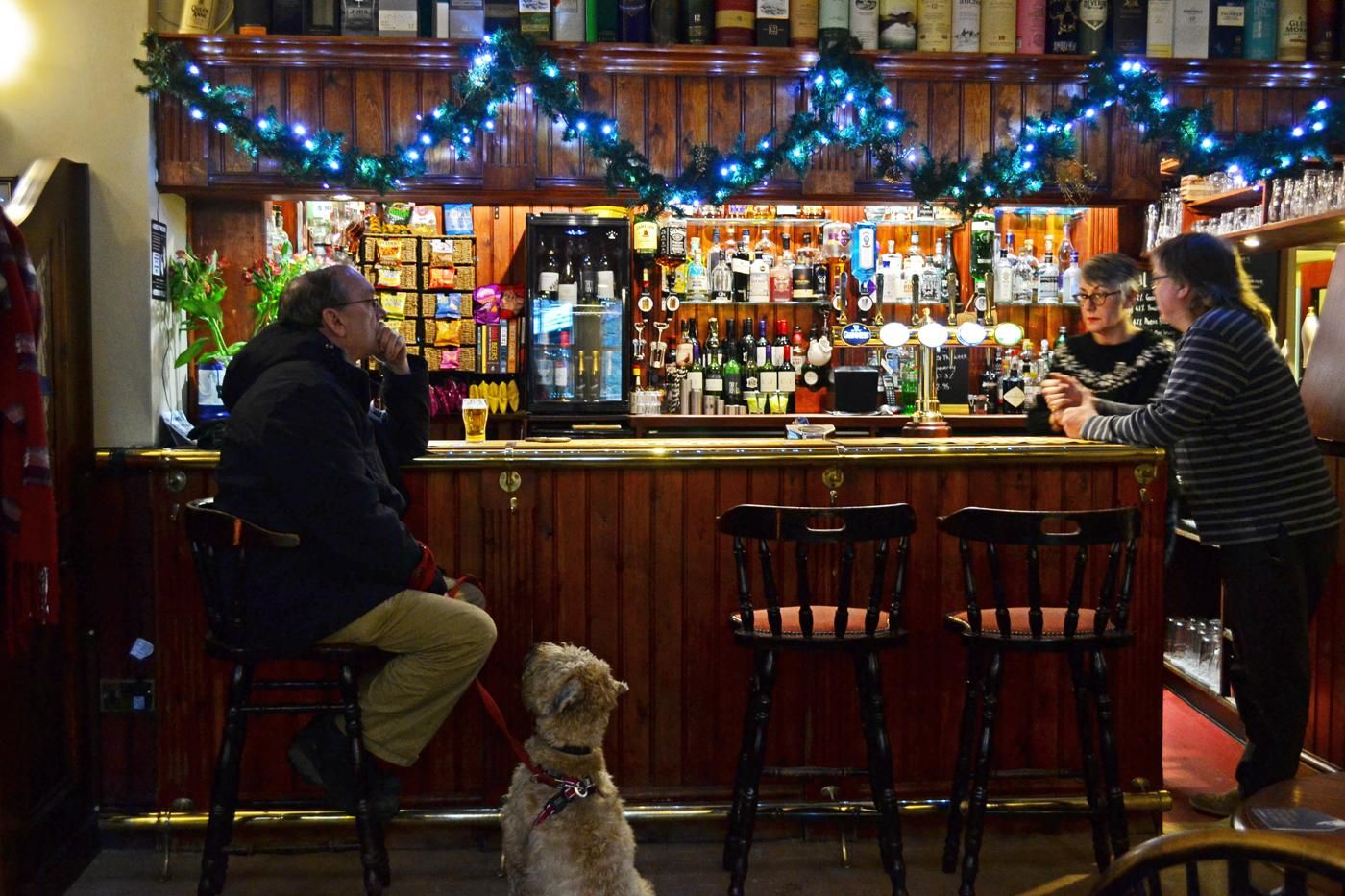 At the Bar . (Pub, Bar, Publican, Customers). Published on 10-12-2017