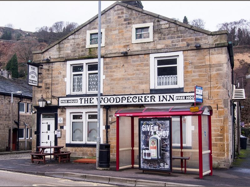 Woodpecker. (Pub, External, Key). Published on 15-12-2013