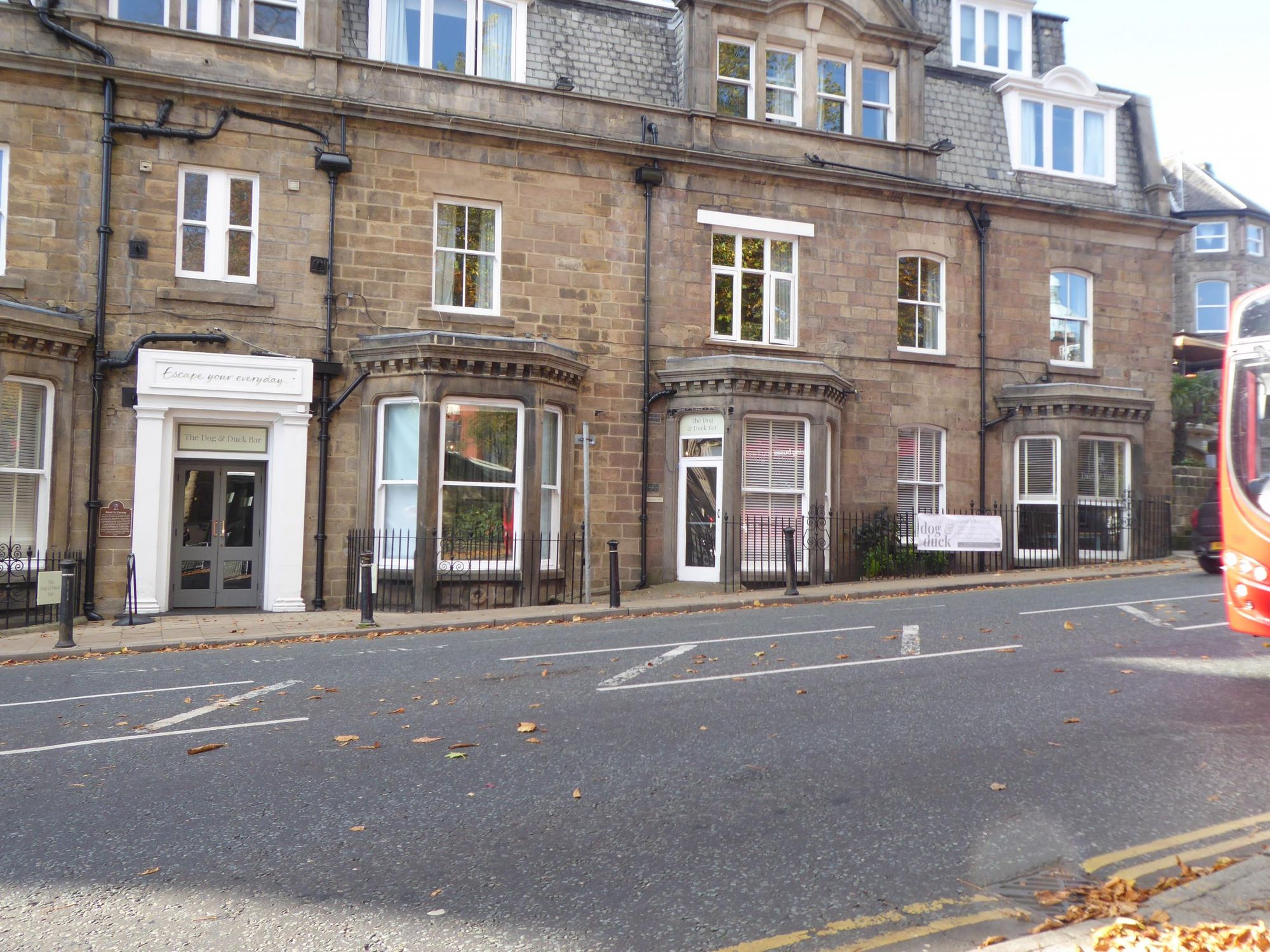 Dog & Duck at St George Hotel, 2018. (Pub, External). Published on 20-10-2018