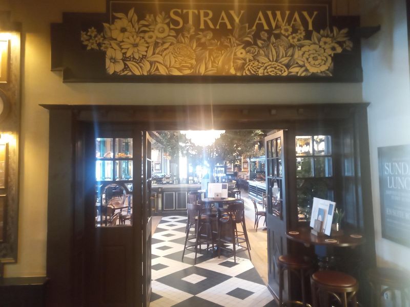 Stray Away. (Pub, Bar). Published on 04-07-2023
