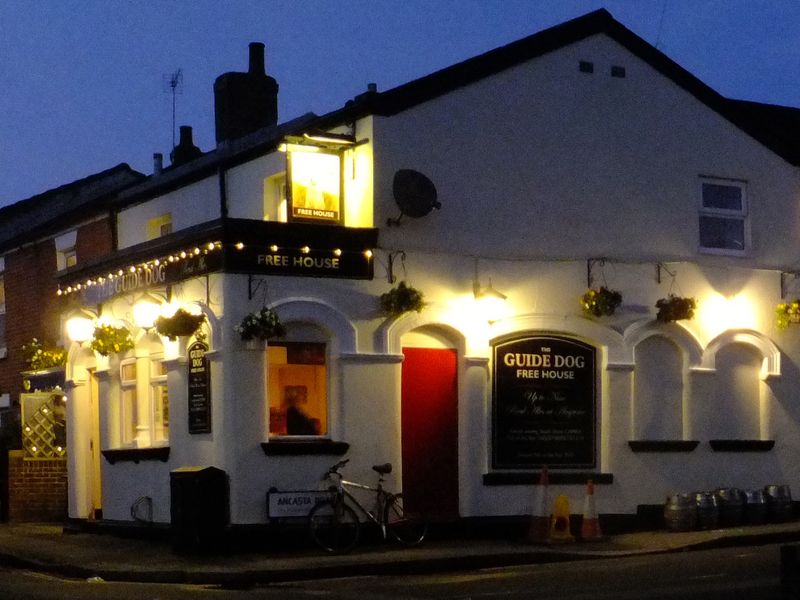 Guide Dog, Bevois Valley (Photo: Charles Patrick 14/02/2016). (Pub, External). Published on 14-02-2016