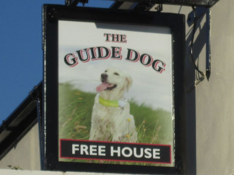 Guide Dog, Bevois Valley (Photo: Pete Horn 18/12/2012). (External, Sign). Published on 18-12-2012