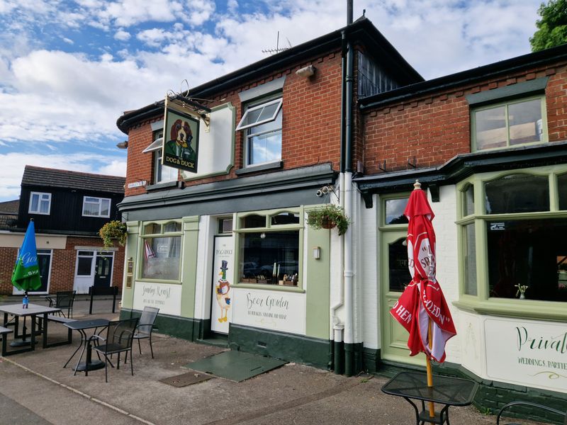 Dog & Duck, Shirley (Photo: Pete Horn - 16/07/2025). (Pub, External). Published on 16-07-2025 