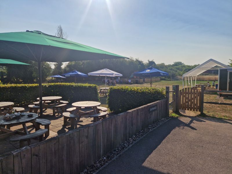 Malthouse, Timsbury (Photo: Pete Horn - 17/08/2025). (Garden). Published on 17-08-2025 