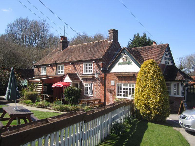 Black Dog, Waltham Chase. (Pub, External, Key). Published on 20-04-2013