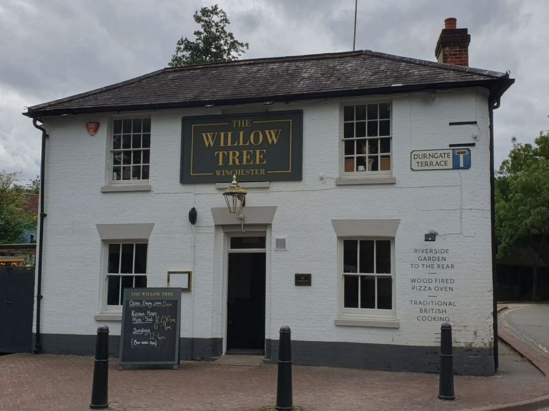 Willow Tree, Winchester (Photo: Pete Horn 28/07/2023). (Pub, External). Published on 28-07-2023
