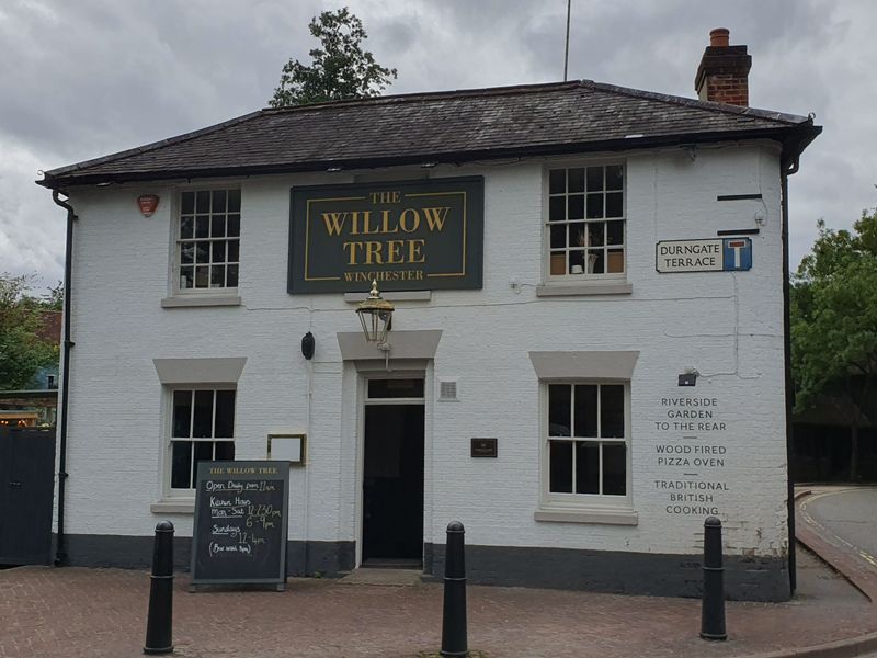 Willow Tree, Winchester (Photo: Pete Horn 28/07/2023). (Pub, External). Published on 28-07-2023 