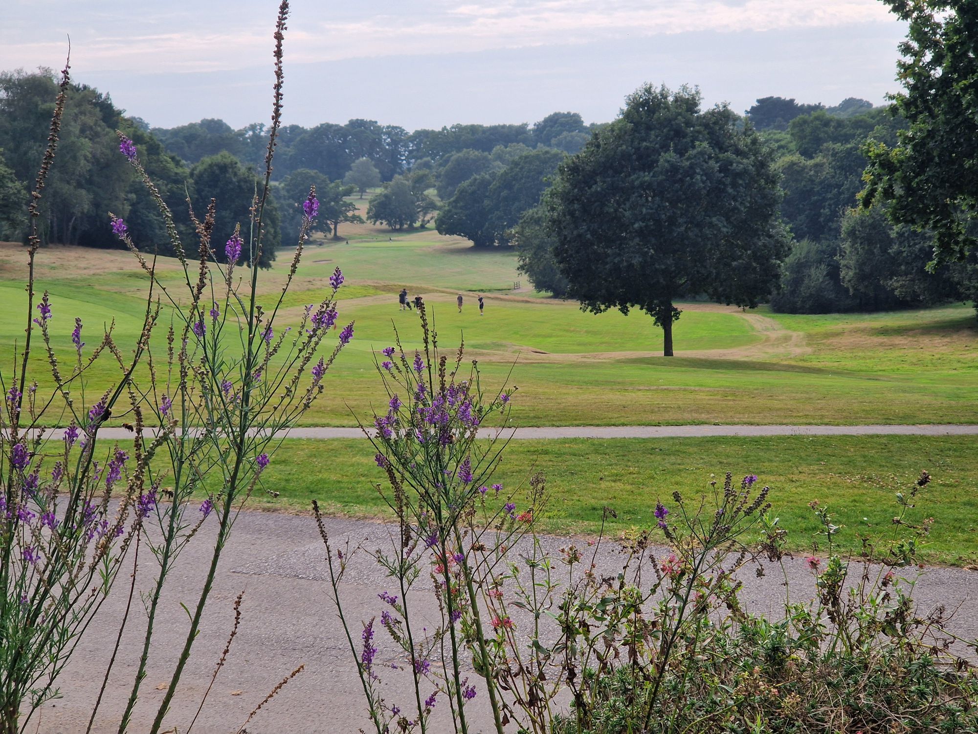 The Muni - view from the terrace (Photo: Pete Horn - 28/08/2024). (External, Garden). Published on 28-08-2024