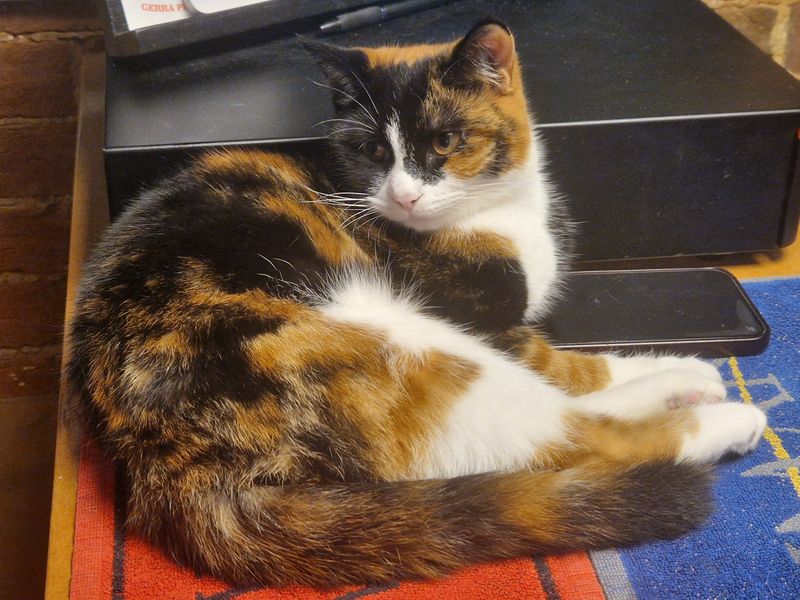 Circe, the boss at Witch's Brew, Freemantle. Published on 11-08-2026 